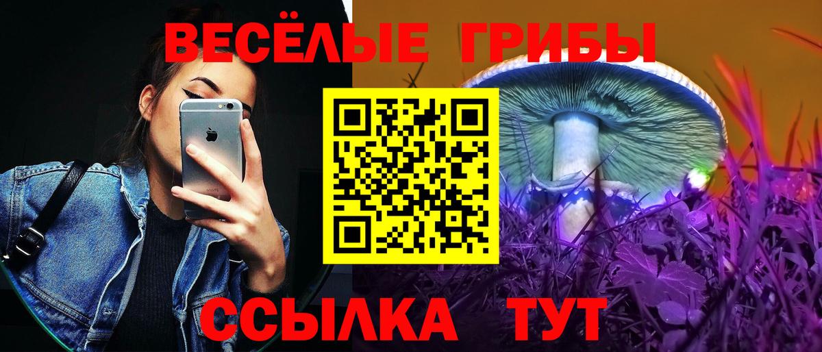 Псилоцибиновые грибы MAGIC MUSHROOMS Скопин