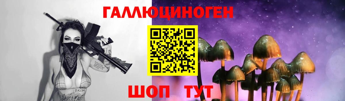 Скопин  Галлюциногенные грибы прущие грибы  Вход с VPN  Галлюциногенные грибы мицелий 